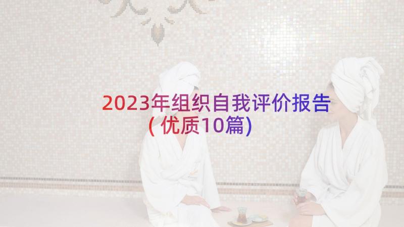 2023年组织自我评价报告(优质10篇)