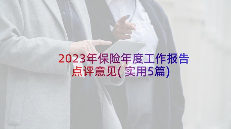 2023年保险年度工作报告点评意见(实用5篇)