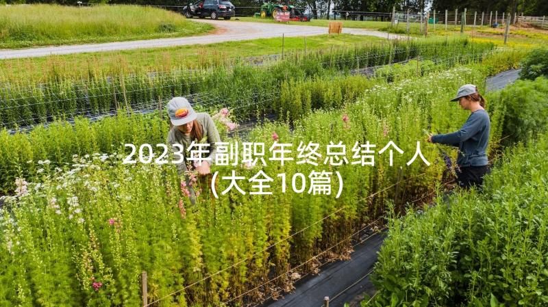 2023年副职年终总结个人(大全10篇)