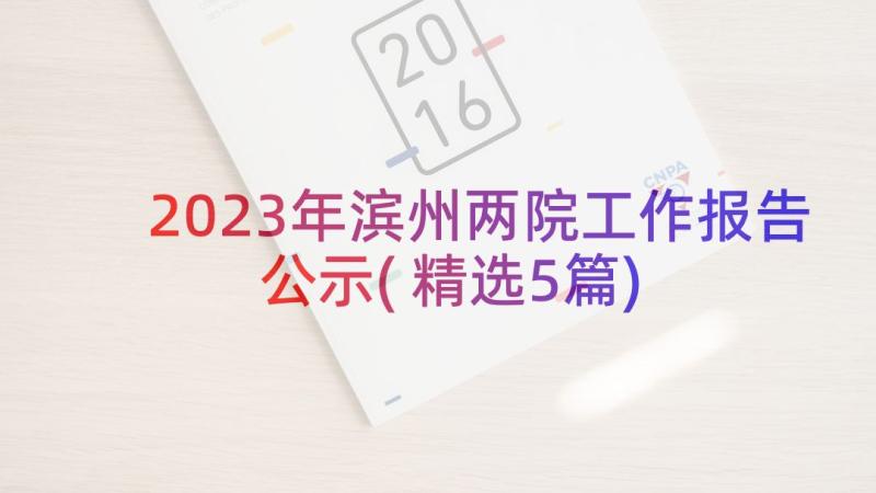 2023年滨州两院工作报告公示(精选5篇)