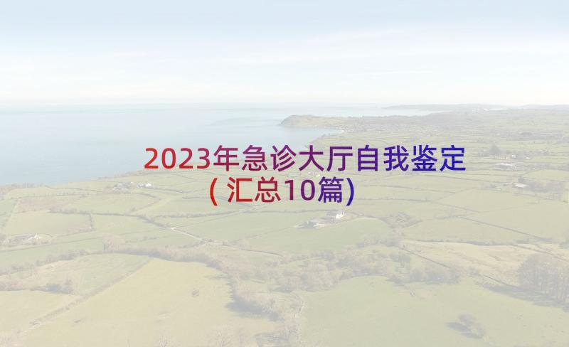 2023年急诊大厅自我鉴定(汇总10篇)