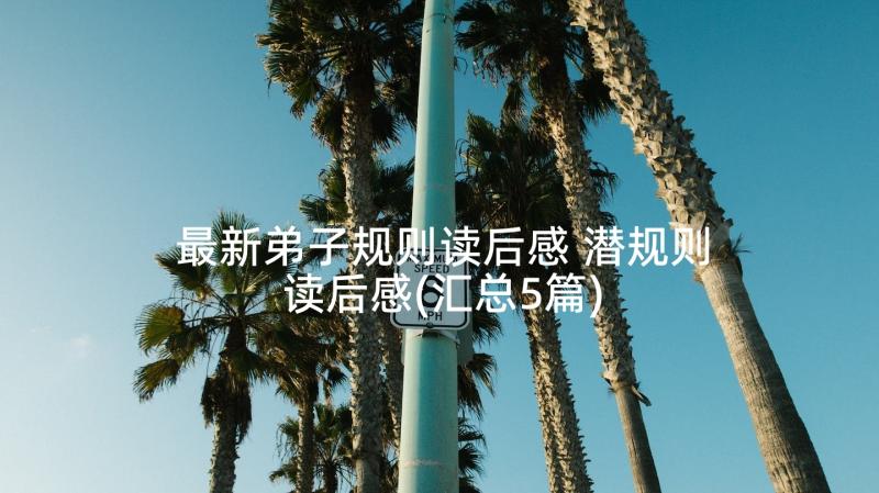 最新弟子规则读后感 潜规则读后感(汇总5篇)