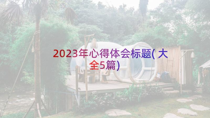 2023年心得体会标题(大全5篇)