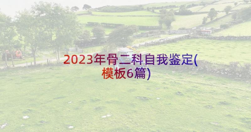 2023年骨二科自我鉴定(模板6篇)