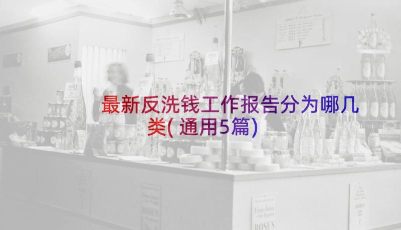 最新反洗钱工作报告分为哪几类(通用5篇)