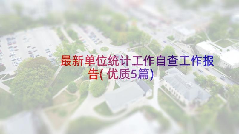 最新单位统计工作自查工作报告(优质5篇)