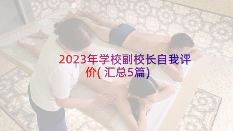 2023年学校副校长自我评价(汇总5篇)