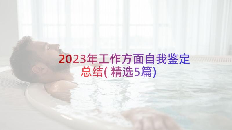 2023年工作方面自我鉴定总结(精选5篇)