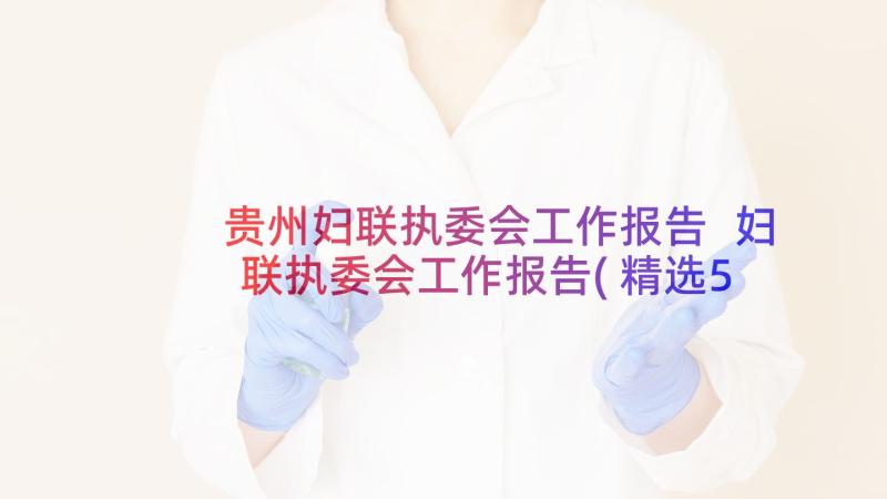 贵州妇联执委会工作报告 妇联执委会工作报告(精选5篇)