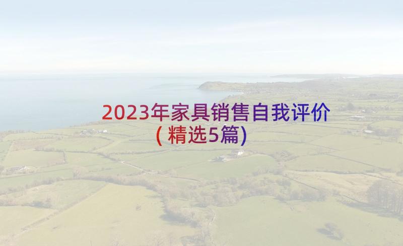 2023年家具销售自我评价(精选5篇)