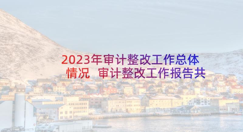 2023年审计整改工作总体情况 审计整改工作报告共审计工作整改报告(大全5篇)