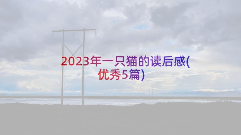 2023年一只猫的读后感(优秀5篇)