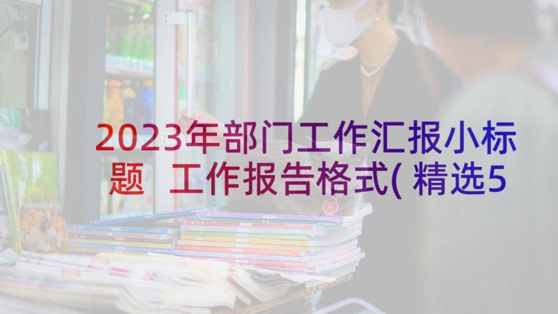 2023年部门工作汇报小标题 工作报告格式(精选5篇)