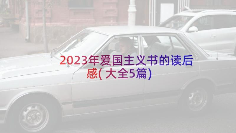 2023年爱国主义书的读后感(大全5篇)