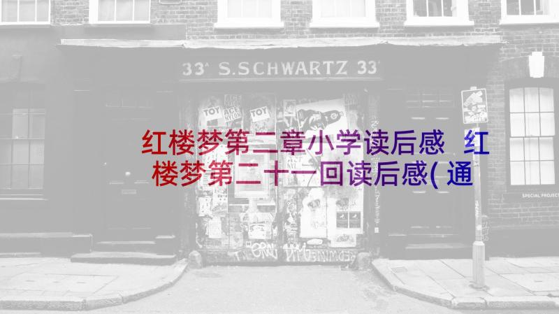 红楼梦第二章小学读后感 红楼梦第二十一回读后感(通用5篇)