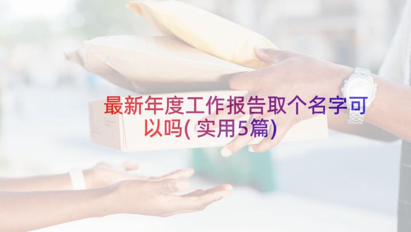 最新年度工作报告取个名字可以吗(实用5篇)