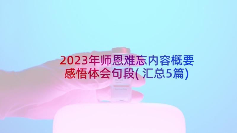 2023年师恩难忘内容概要感悟体会句段(汇总5篇)