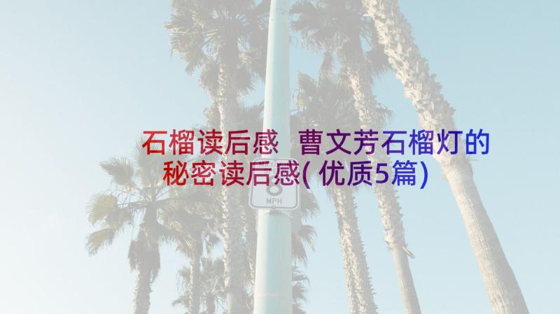 石榴读后感 曹文芳石榴灯的秘密读后感(优质5篇)