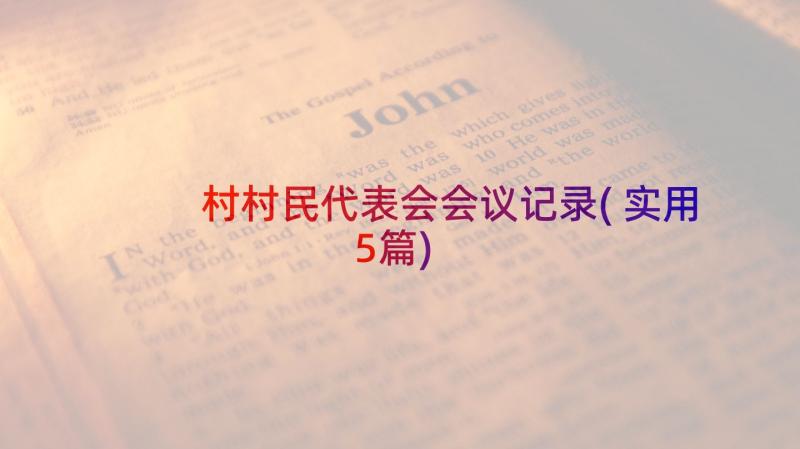 村村民代表会会议记录(实用5篇)