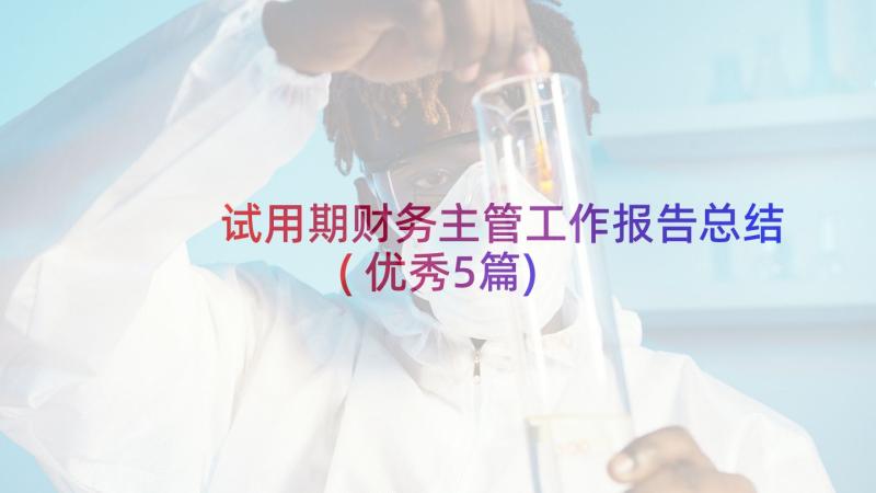 试用期财务主管工作报告总结(优秀5篇)