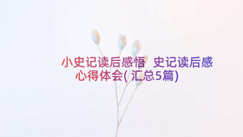 小史记读后感悟 史记读后感心得体会(汇总5篇)