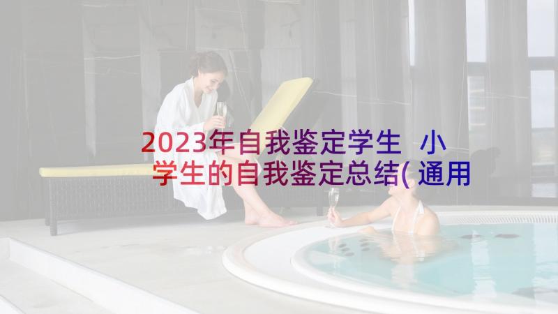 2023年自我鉴定学生 小学生的自我鉴定总结(通用9篇)