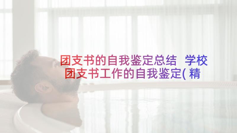 团支书的自我鉴定总结 学校团支书工作的自我鉴定(精选5篇)