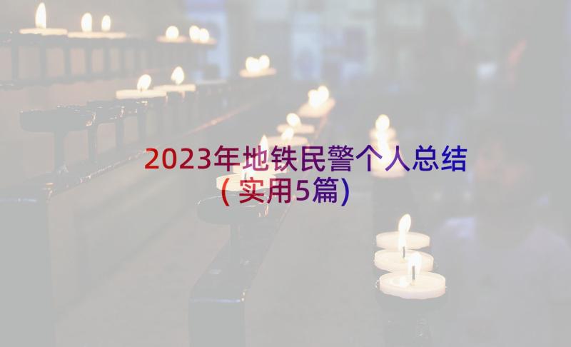 2023年地铁民警个人总结(实用5篇)