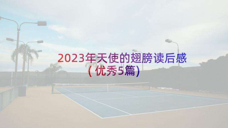 2023年天使的翅膀读后感(优秀5篇)