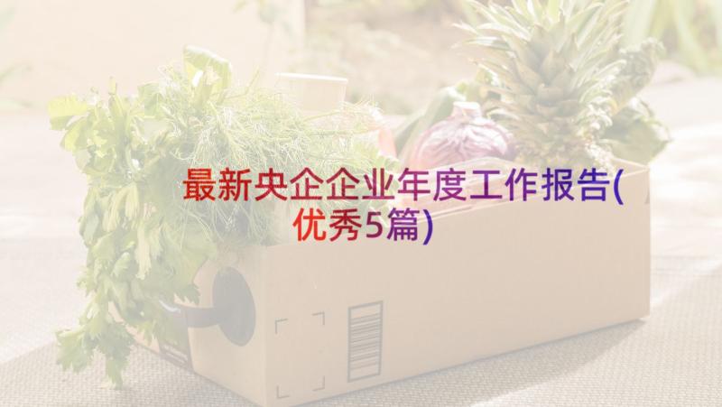 最新央企企业年度工作报告(优秀5篇)