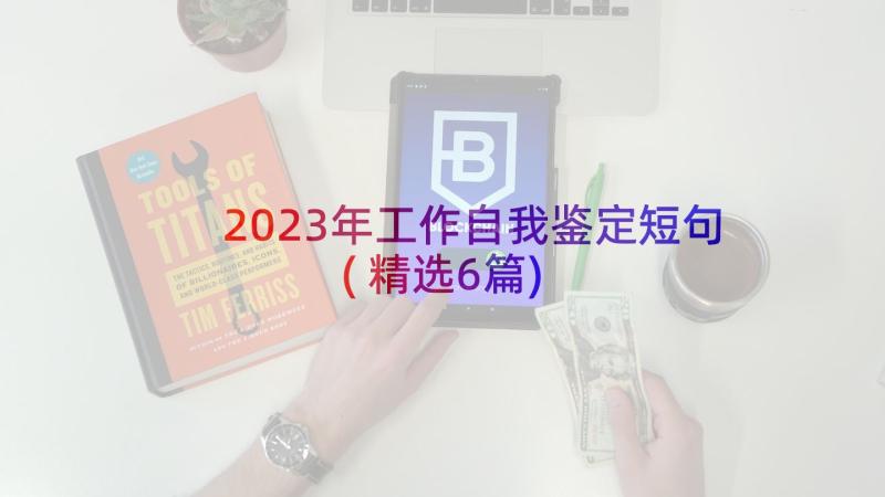 2023年工作自我鉴定短句(精选6篇)