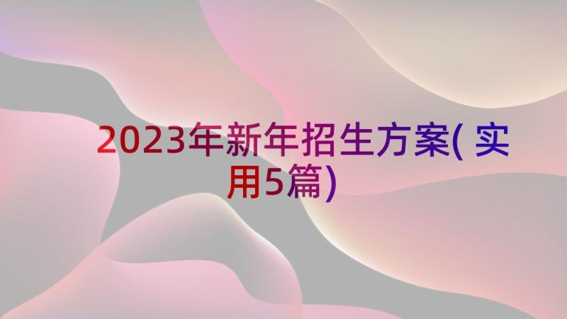 2023年新年招生方案(实用5篇)