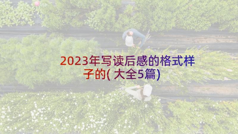 2023年写读后感的格式样子的(大全5篇)