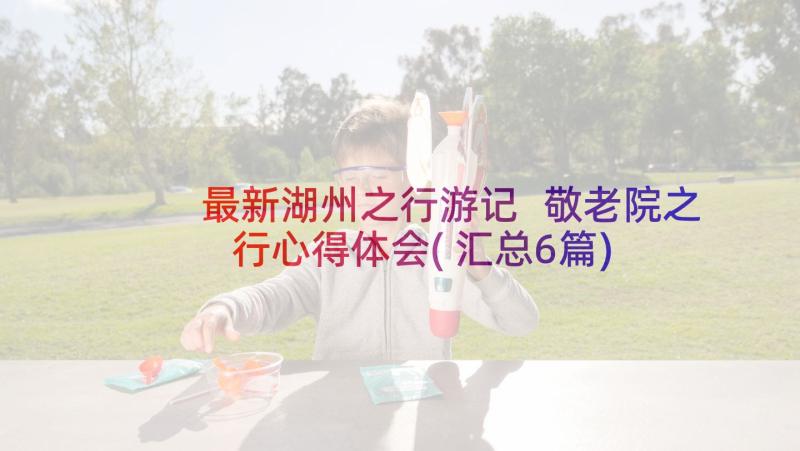 最新湖州之行游记 敬老院之行心得体会(汇总6篇)