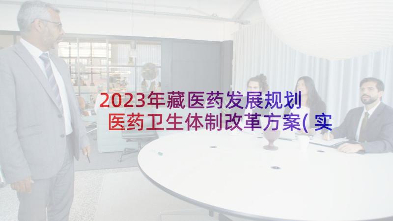 2023年藏医药发展规划 医药卫生体制改革方案(实用9篇)