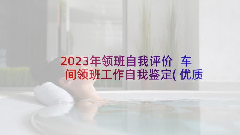 2023年领班自我评价 车间领班工作自我鉴定(优质5篇)