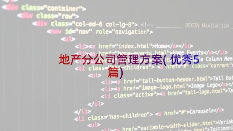 地产分公司管理方案(优秀5篇)
