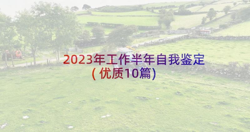 2023年工作半年自我鉴定(优质10篇)