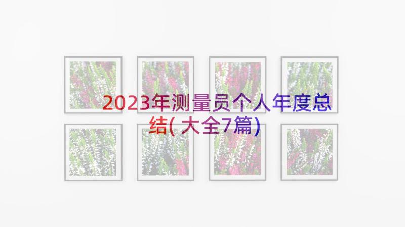 2023年测量员个人年度总结(大全7篇)