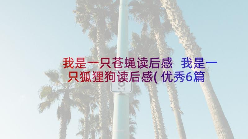 我是一只苍蝇读后感 我是一只狐狸狗读后感(优秀6篇)