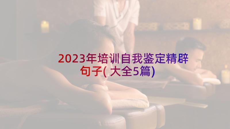 2023年培训自我鉴定精辟句子(大全5篇)