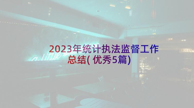 2023年统计执法监督工作总结(优秀5篇)