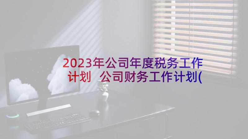 2023年公司年度税务工作计划 公司财务工作计划(实用9篇)