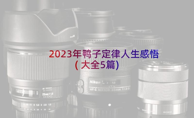 2023年鸭子定律人生感悟(大全5篇)