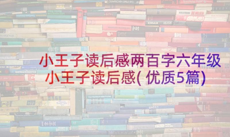 小王子读后感两百字六年级 小王子读后感(优质5篇)