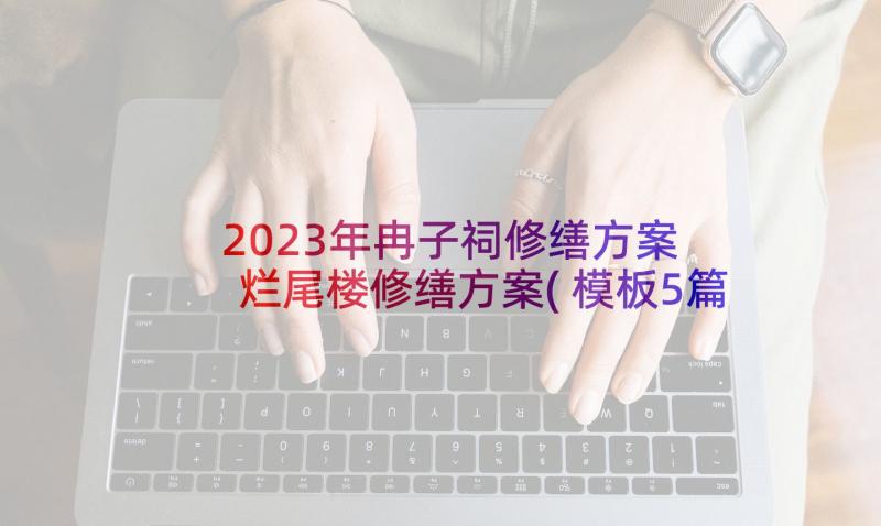 2023年冉子祠修缮方案 烂尾楼修缮方案(模板5篇)