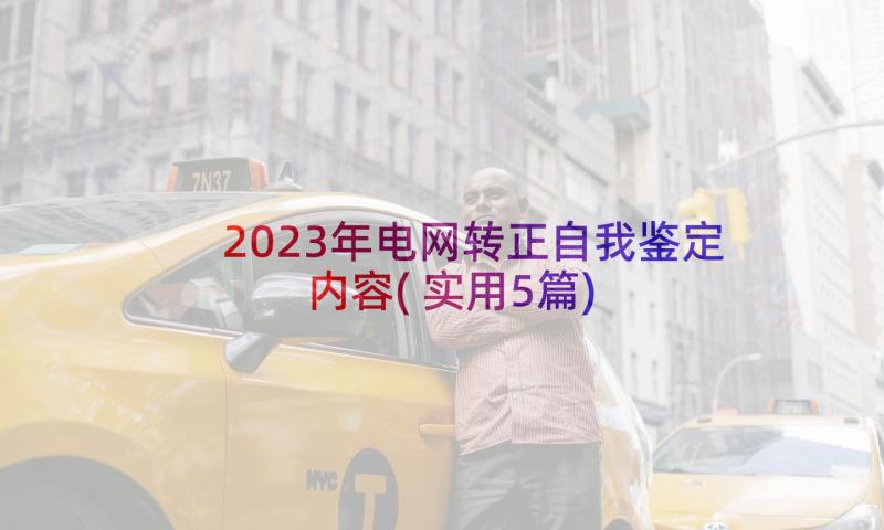 2023年电网转正自我鉴定内容(实用5篇)