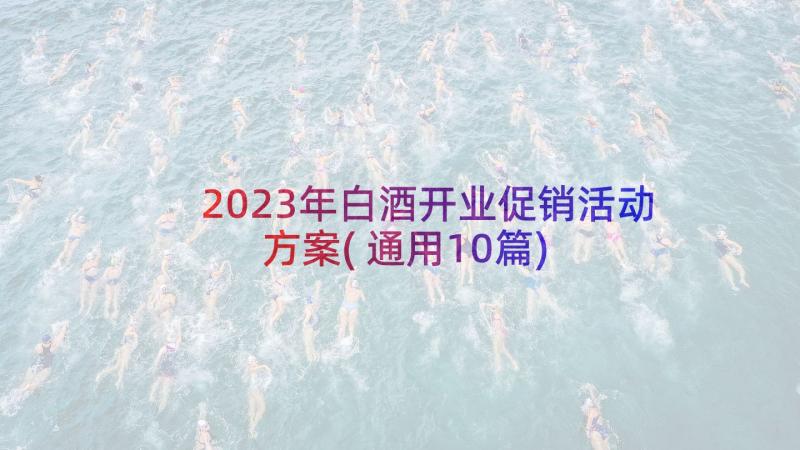 2023年白酒开业促销活动方案(通用10篇)