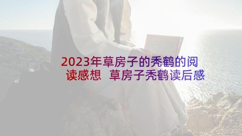 2023年草房子的秃鹤的阅读感想 草房子秃鹤读后感(通用5篇)