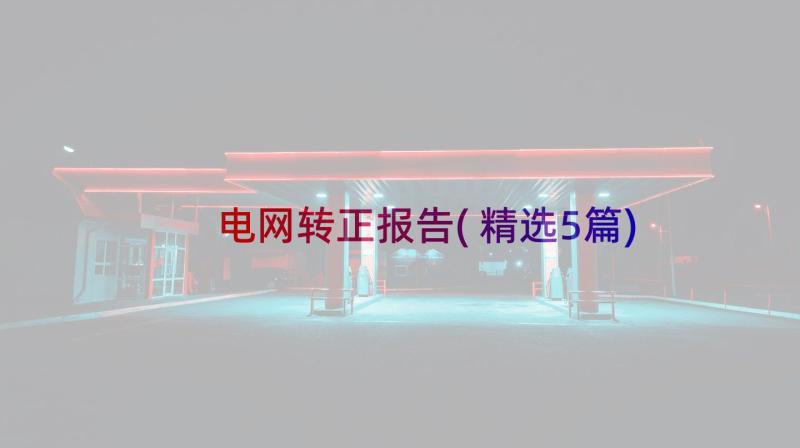 电网转正报告(精选5篇)